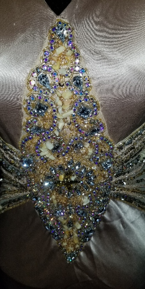 Champagne Beaded Vintage Cassandra Stone Dress - Picture 3 of 8